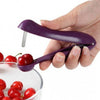 Cherry Seed Pitter Tools