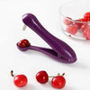 Cherry Seed Pitter Tools